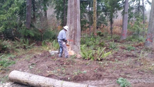 Landscaping Services Sequim